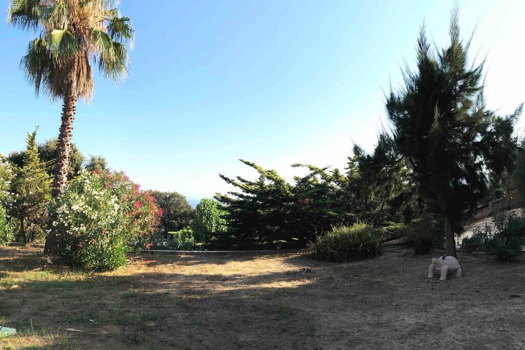 Rez De Villa Bordure Ajaccio Ajaccio  Exteriör bild